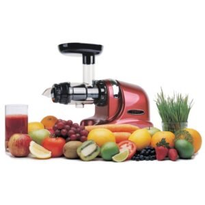 VitaLeo 1000 Saftpresse mit Obst